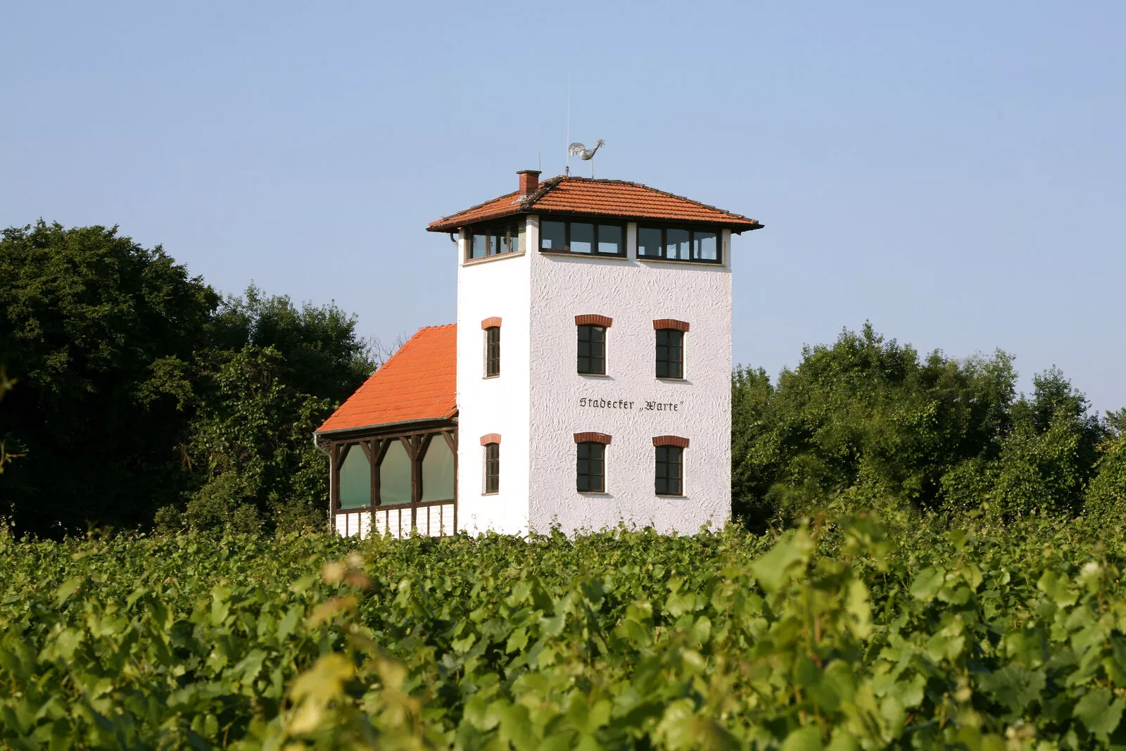 stadecker_warte_in_den_weinreben